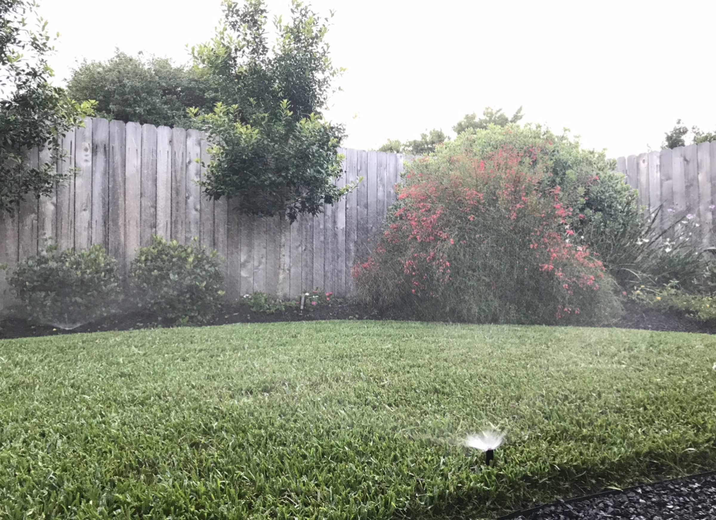 Irrigation head covering a Houston lawn and beds