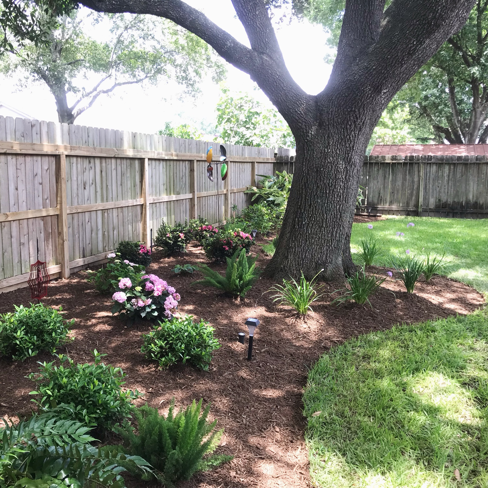 Path lights in a planted Houston bed under a live oak