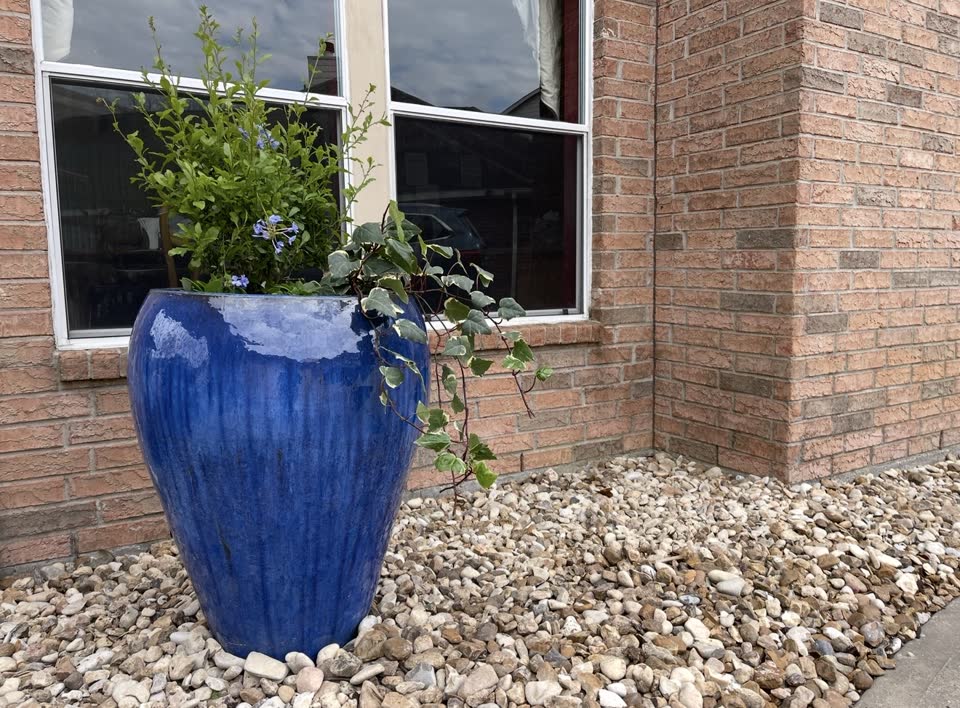 Landscaping in Houston by Danny's Landscaping
