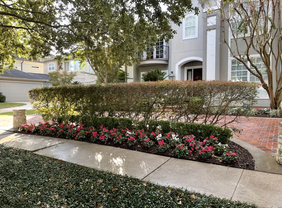 Landscaping in Houston by Danny's Landscaping